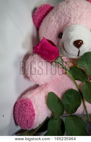 Red roses are the symbol of love.on celebrety