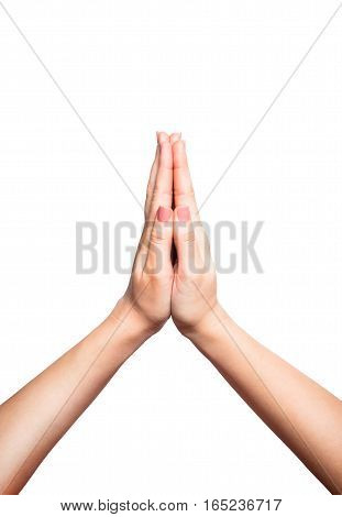woman folds hands for plea, white background