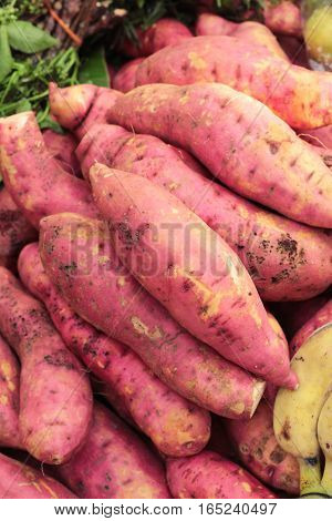 Fresh yam in the market for cooking