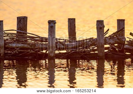 Ecological Willow campshedding riverbank protection against water waves to create a natural ecological zone along lakes and riverbanks