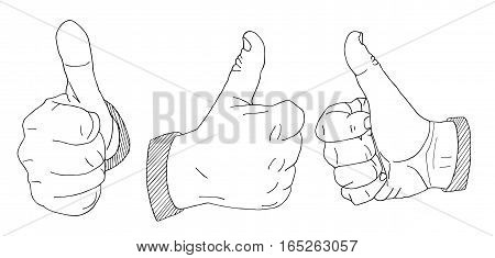 Palms Hand drawn sketched vector illustration. Wrist Doodle Flourish graphic with ornate pattern. Design Isolated on white.