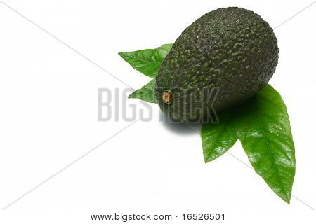 Eine ganze Hass-Avocado mit jungen Blätter aus einer Avocado-Struktur, isolated on white