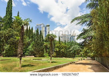Primorsky Park named after Yuri Gagarin-in the South-Western part of Yalta. Crimea Russia