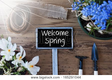 Sign With English Text Welcome Spring. Sunny Spring Flowers Like Grape Hyacinth And Crocus. Gardening Tools Like Rake And Shovel. Hemp Fabric Ribbon. Aged Wooden Background