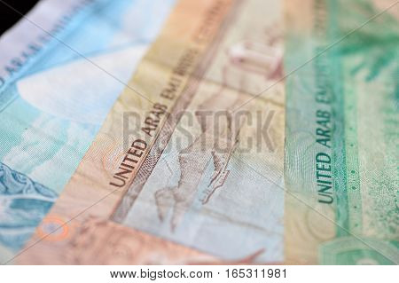 Background of the UAE Dirhams close up