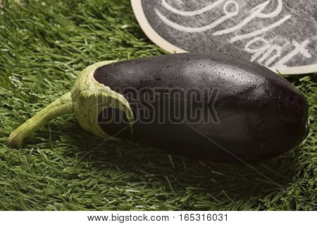 fresh eggplant on grass background, closeup image