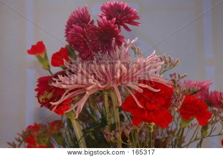 Carnations And Mums
