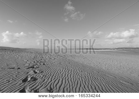 the beach of the Touquet , PAS-DE-Calais, hauts de France , France