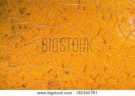 Close-up texture of peel of yellow ripe melon