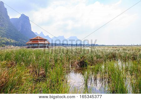 Old pavilion in lake of Khao Samroiyod National Park, Prachuap Khiri Khan, Thailand.