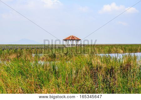 Old pavilion in lake of Khao Samroiyod National Park, Prachuap Khiri Khan, Thailand.