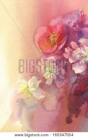 Bouquet of white and violet peonies watercolor illiustration. Wedding card. Summer bloom. Color flowers background.