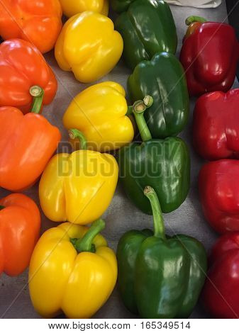 Variety color of Bell Pepper sell in New Zealand
