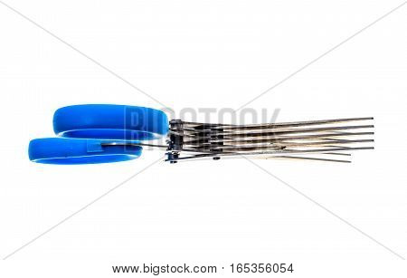 Herb And Spice Scissors With Comb On A White Background.