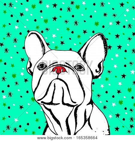 bulldog dog animal french vector illustration pet breed cute drawing puppy