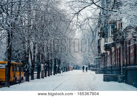 Winter streets of big cities people trees frost