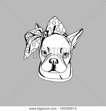 bulldog dog animal french vector illustration pet breed cute drawing puppy