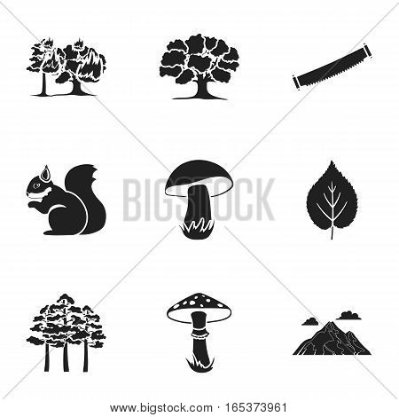 Forest set icons in black style. Big collection of forest vector symbol stock