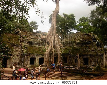 SIEM REAP, CAMBODIA - AUGUST 06, 2014 - Ta Phrom ancient temple with big roots and tree that grew on it The temple is also known for Tomb Raider movie