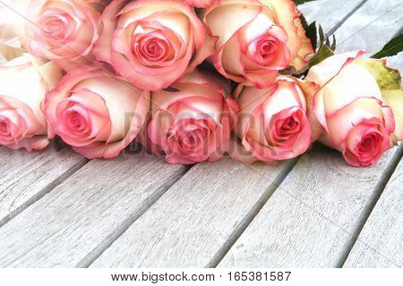 Rose in spring on a rustic wooden table for valentin and mothers day