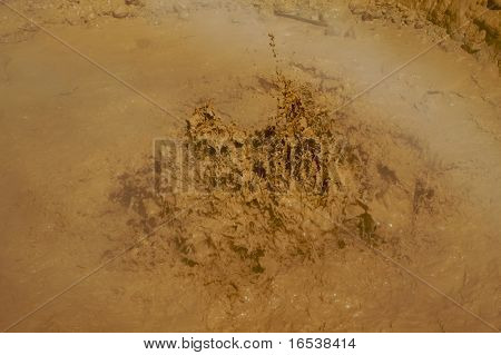 Pozzi di fango gorgogliante vulcanica nel Lassen Park in California