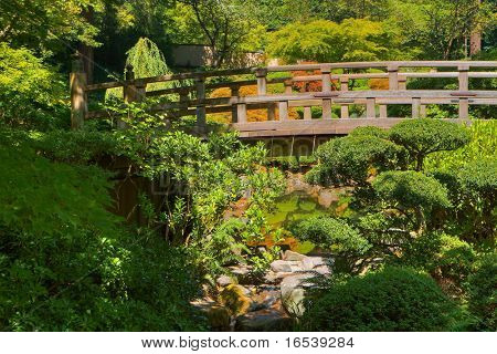 HDR-kuvan Japanin puu silta Puutarha vihreä ja kulta puita