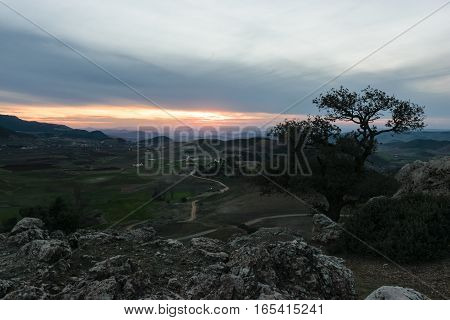 Amazing view from a hill over the landscape of the Province Ifrane in Morocco at sunset with nice colors in the sky and a tree in the foreground.