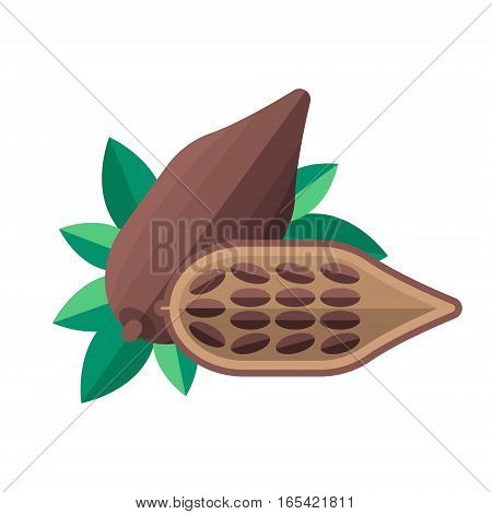 Cocoa Beans And Leaves Vector Illustration. Superfood Cacao Icon. Healthy Detox Natural Product. Fla