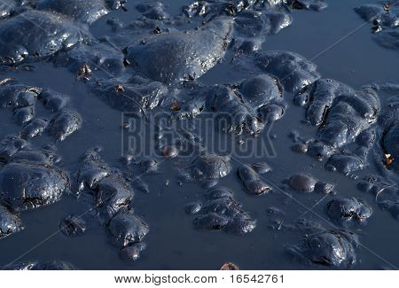 Inquinamento di olio nero