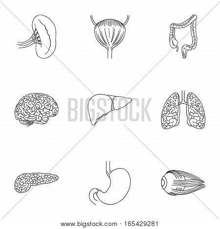 Human organs set icons in outline design. Big collection of human organs vector symbol stock illustration