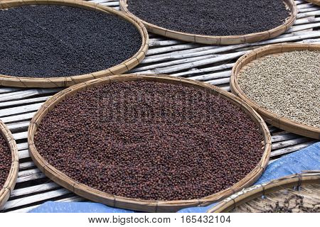 various Kampot peppers drying at sun in Cambodia