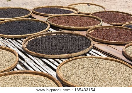 various Kampot peppers drying at sun in Cambodia