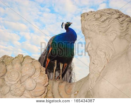 The sculpture personifying Bug River and peacock Warsaw's Lazienki Park Poland.