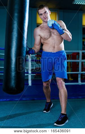 Handsome man in blue boxing gloves training on a punching bag in the gym. Male boxer doing workout