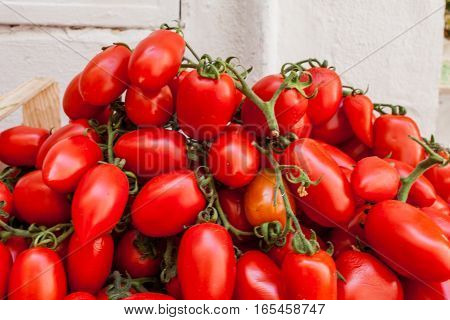 San Marzano Tomatoes