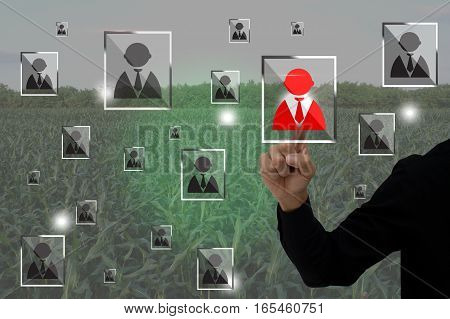 internet of things agriculture concept smart farming farmer use augmented reality application to manage a human resource in the farm