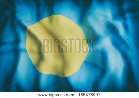 Republic Of Palau Flag