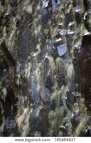 Risco Waterfall of the Twenty-five Fountains Levada hiking trail Madeira Portugal