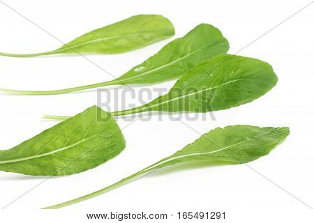 Arugula Leaves. Leaf over a white background