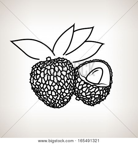 Lichee, Image Lichi in the Contours on a Light Background ,Black and White Illustration