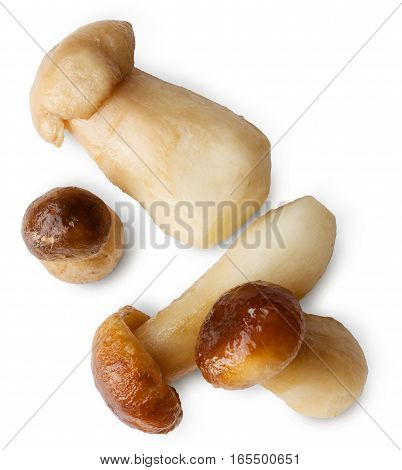 Edible forest wild mushrooms isolated on white background. Boiled fungus ready for cooking