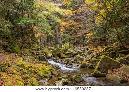 Beautiful in nature the Akame 48 waterfalls in autumn Mie Prefecture Japan