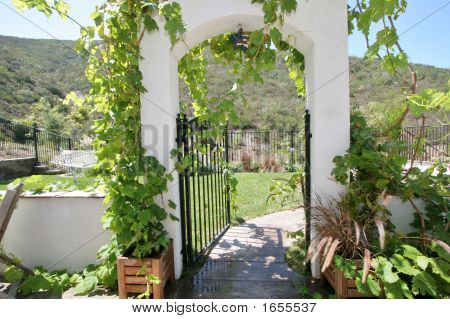 Archway Vinyard 