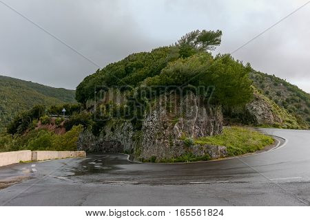 Road TF-12 in Anaga Rural Park - ancient forest on Tenerife Canary Islands winter travel destination