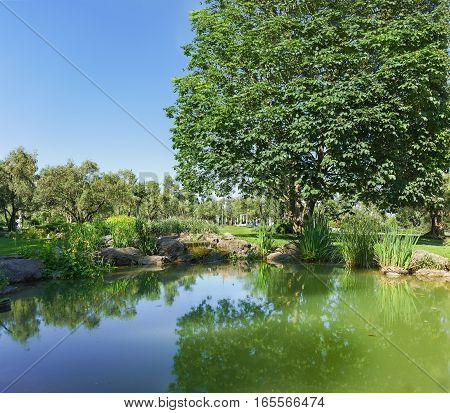 A pond in an olive grove Park Paradise. Partenit Crimea Russia