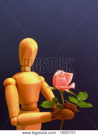 로즈 (수직) 마네킹
