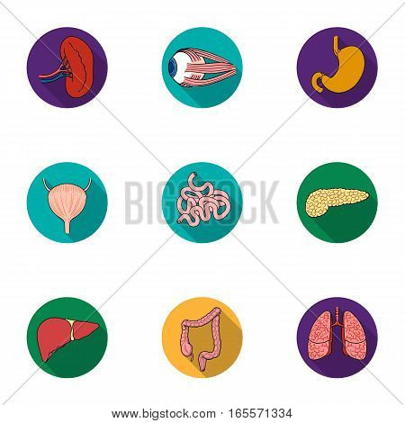 Human organs set icons in flat design. Big collection of human organs vector symbol stock illustration