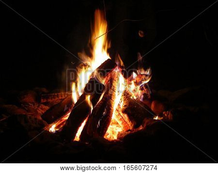 roasting marshmallows over a bright camp fire