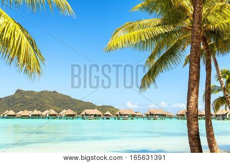 View of the Otemanu mountain and bungalow with palm tree and stunning lagoon. Bora-Bora. Tahiti. Polynesia
