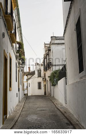 Cordoba (Andalucia Spain): old typical street in the Juderia